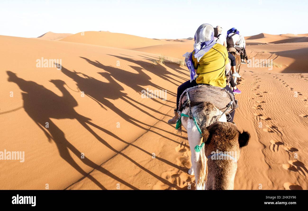 Touristen Karawane Reiten Dromedaren durch Sanddünen in der Sahara Wüste bei Merzuga in Marokko - Wanderlust Reisekonzept mit Menschen Reisende auf c Stockfoto