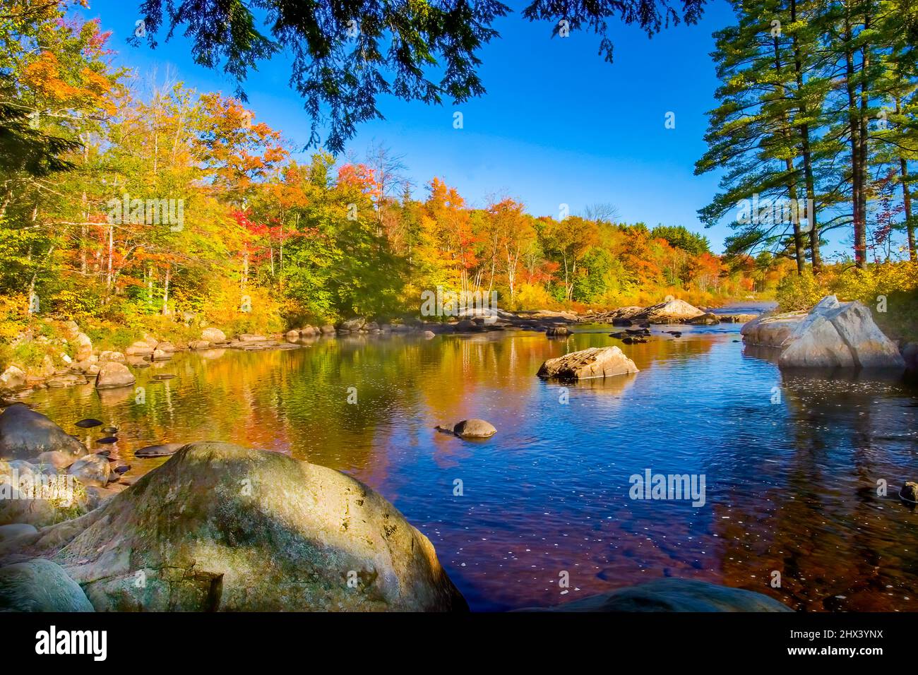 Moose River in den Adirondcak Bergen des Staates New York Stockfoto