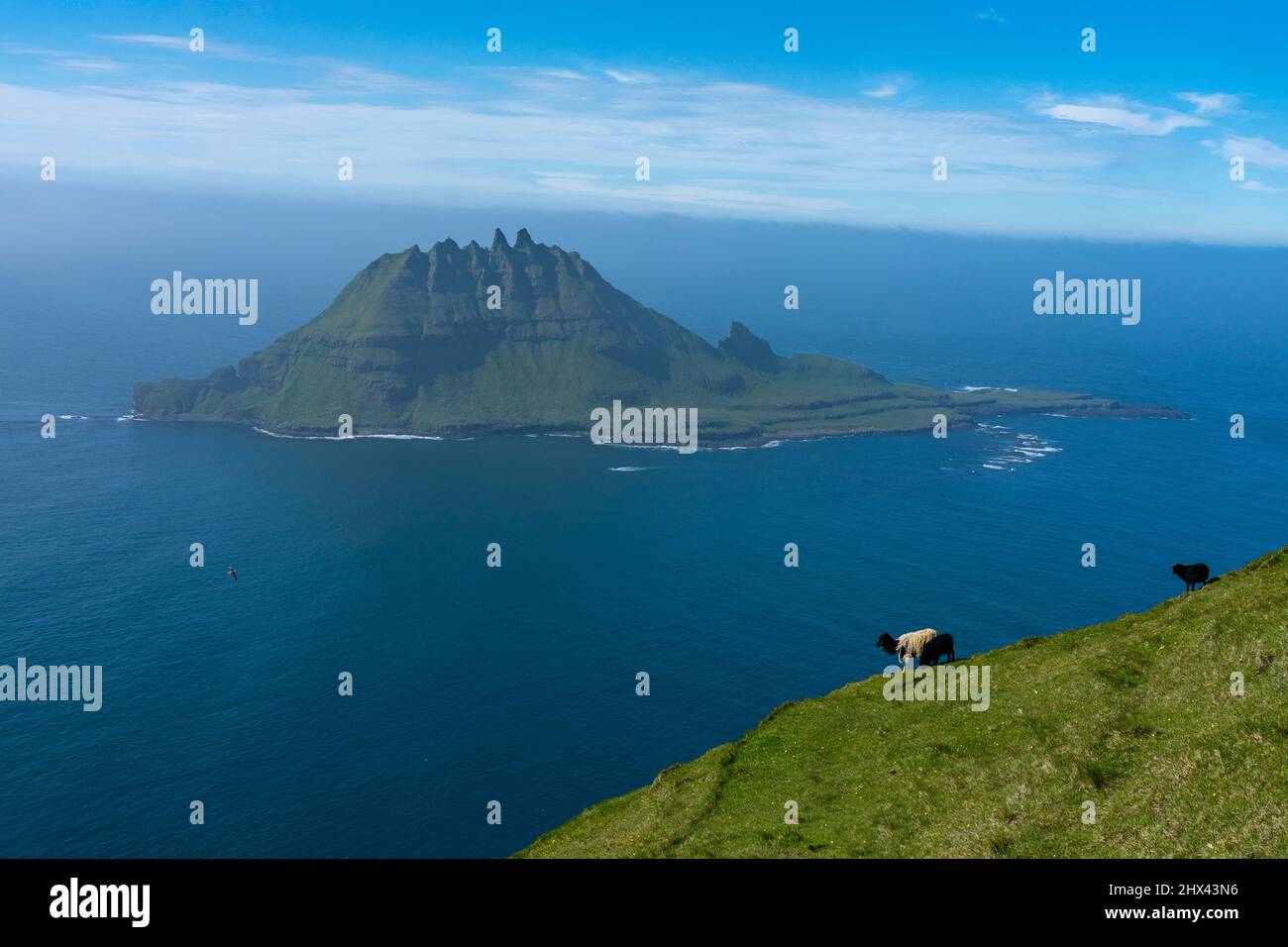 Ansicht der Tindholmur Insel von Vagar Insel, Färöer Inseln, Dänemark. Stockfoto