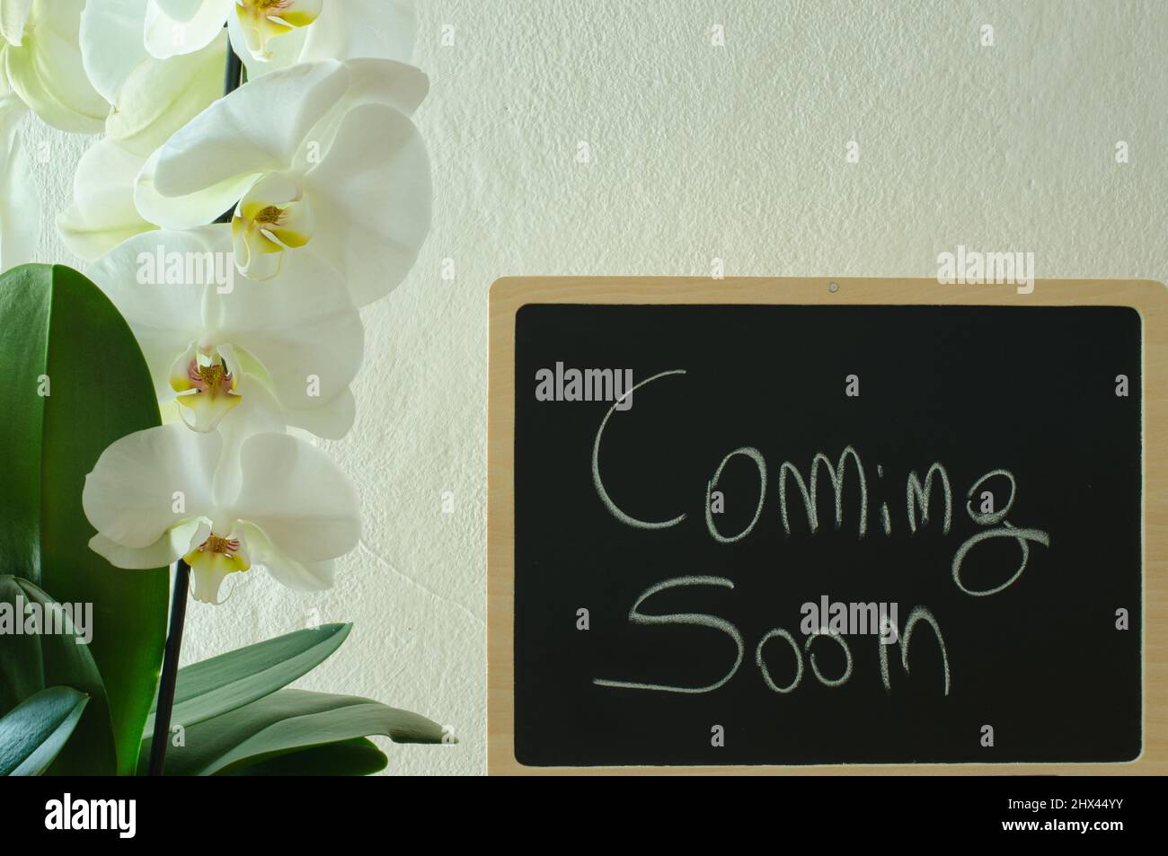 Bald kommende Nachricht auf Tafel mit einer weißen Orchidee daneben Stockfoto