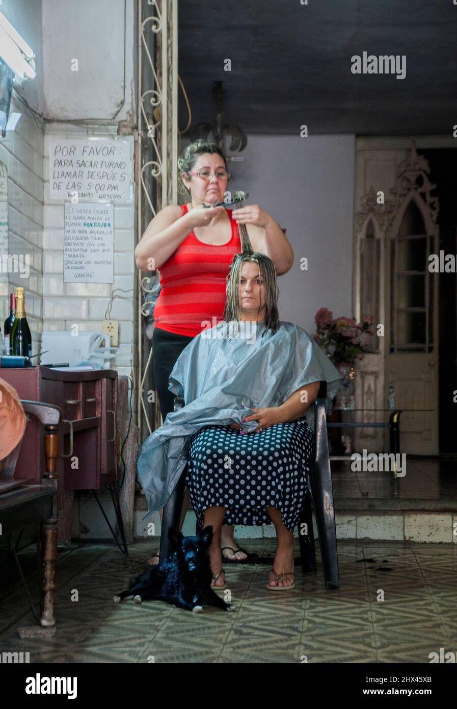 Ein schwarzer Hund sitzt auf dem Boden, während eine Frau in einem Schönheitssalon in Trinidad, Kuba, die Haare einer anderen Frau trägt. Stockfoto