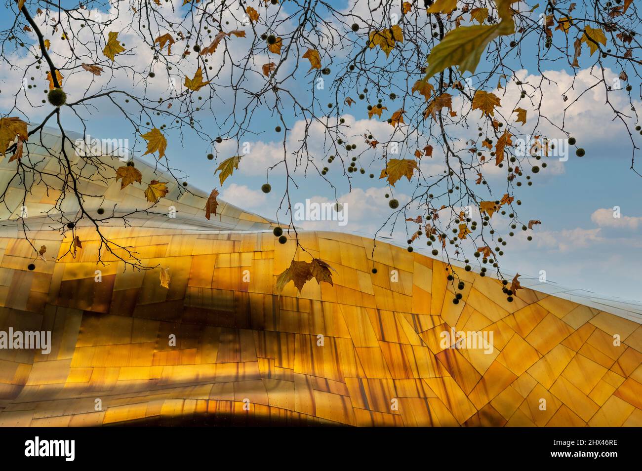 Teil des von Frank Gehry entworfenen Museium of Pop Cluture oder MoPOP in Seattle mit Herbstblättern Stockfoto
