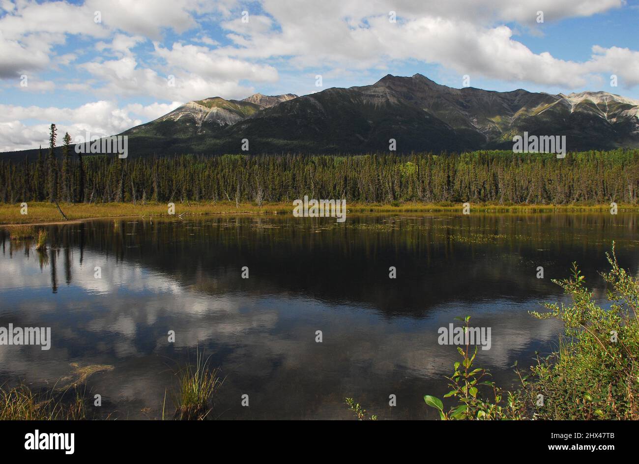 Panorama eines Alaskan Berg, Wald und Himmel wunderschön in einem ruhigen See reflektiert. Gedreht im Wrangell-St Elias National Park. Stockfoto