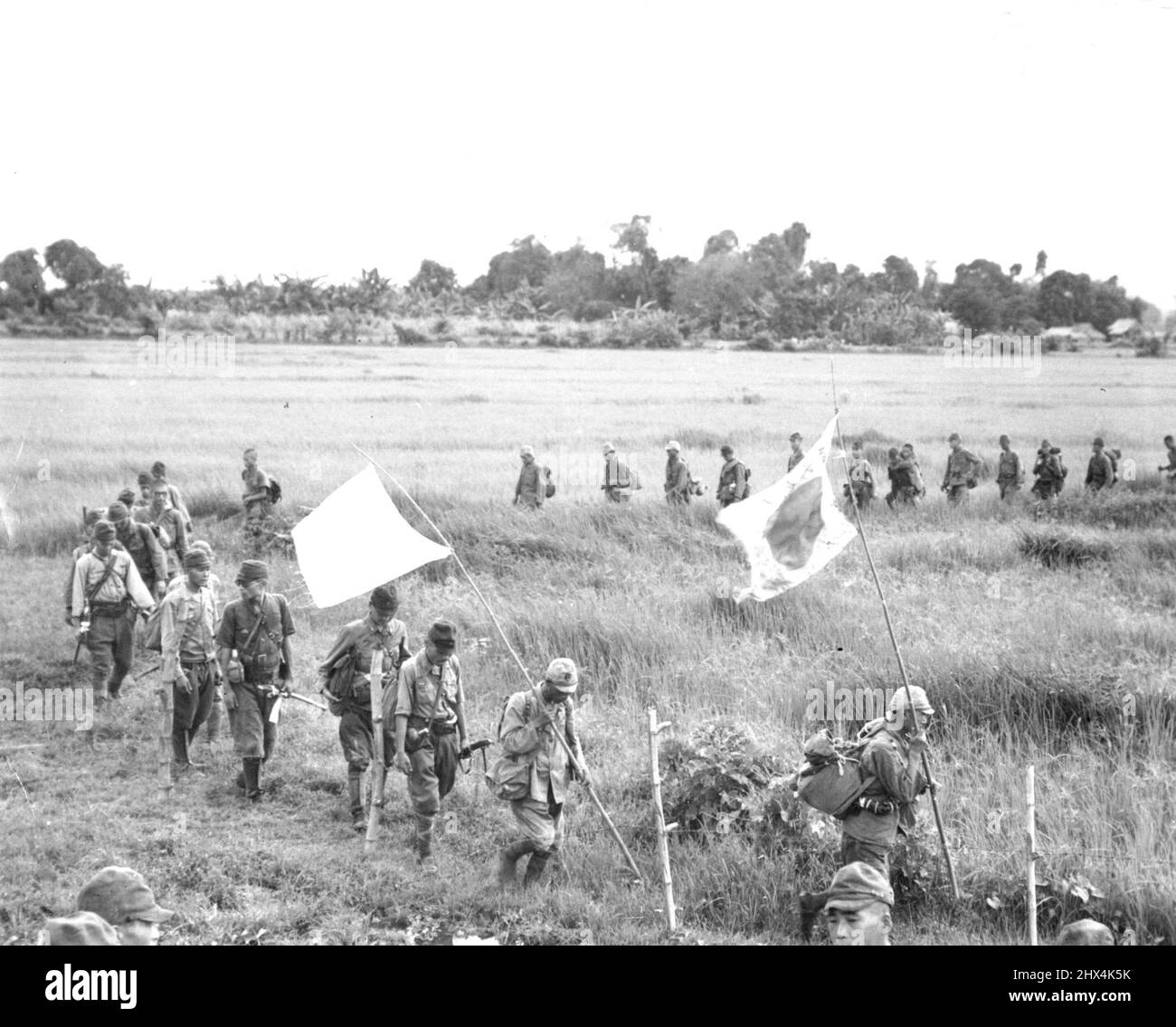 Japs ergeben sich in Bataan - Eine Serpentinensäule von überlieferten japanischen Soldaten überquert ein grünes Reisfeld, während sie sich den wartenden 38. Div.-Truppen nähern. Fünfzig Offiziere und 400 Männer, alles, was von mehr als 6.000 feindlichen Truppen übrig blieb, gaben sich bei Orion und Bagac, Bataan, auf. Sie werden gezeigt, wie sie sich auf demselben Weg bewegen, über den die Amerikaner 1942 den berüchtigten „todesmarsch“ gemacht haben. Diese feindliche Truppe unter Oberst Nagayoshi wurde bei der Rückeroberung der historischen Bataan-Halbinseln von 38. div. Truppen im Kampf vollständig besiegt. 9. April 1945. (Foto von U.S. Army Photo). Stockfoto