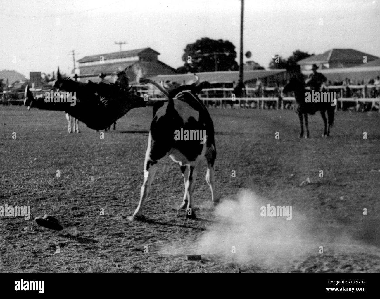 Das ist nicht so gut, aber wie würde es Ihnen trotzdem gehen? 27. November 1950. Stockfoto