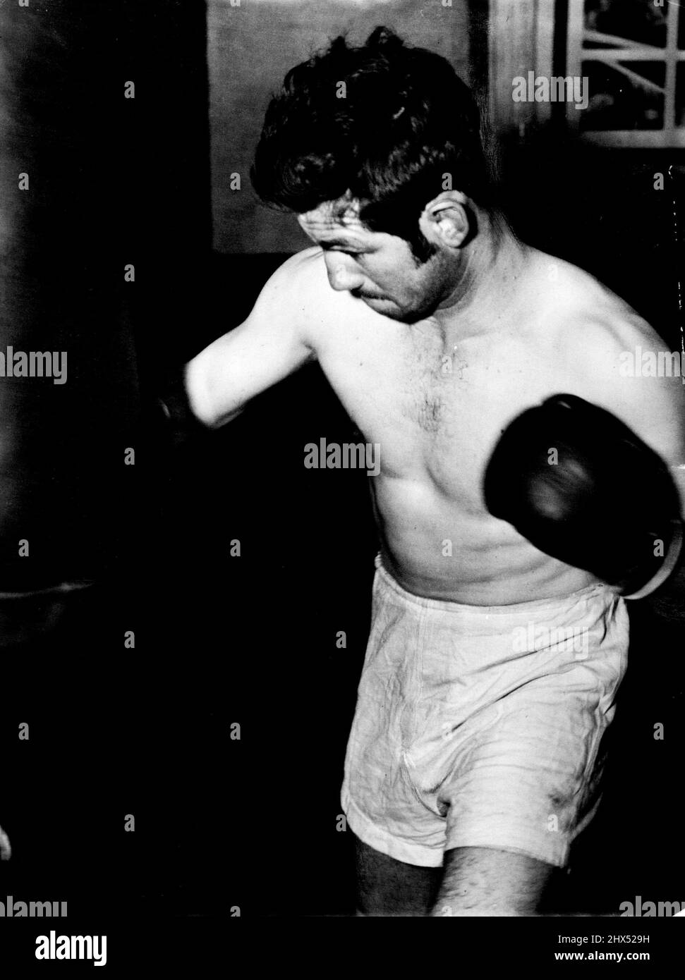 Don Johnson zeigt Entschlossenheit, als er im Training für seine Rückkehr mit Alf Sands am nächsten Montagabend in die Tasche schlägt. 9. September 1953. Stockfoto