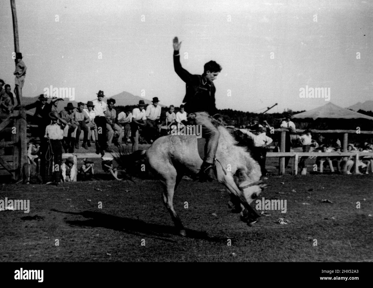Don Johnson. 27. November 1950. Stockfoto