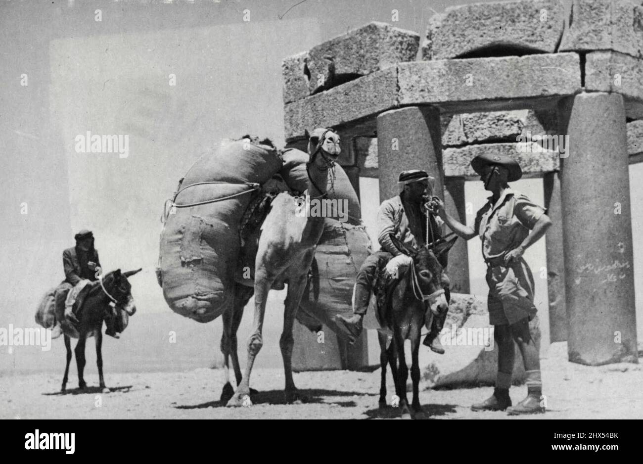 Baalbeck, ein wunderschönes syrisches Touristenresort, das sowohl im Sommer als auch im Winter berühmt ist, liegt etwa 40 Meilen Inland von Beirut entfernt. Das internationale „Liason“-Hotel liegt zwei Meilen (3,2 km) von Baalbeck entfernt. Die Struktur im hinteren Teil wurde aus Mauerwerk gebaut, das aus einigen der nahegelegenen Ruinen stammt. 4. August 1942. (Foto von Australian Official Photograph). Stockfoto