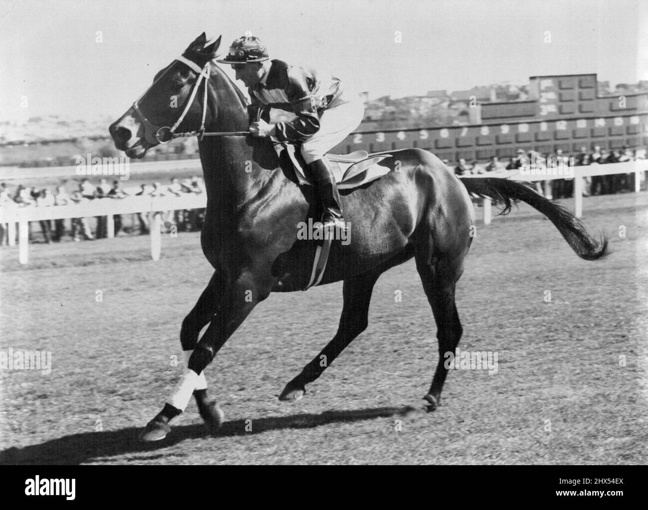 San Domenico. 09. September 1952. Stockfoto