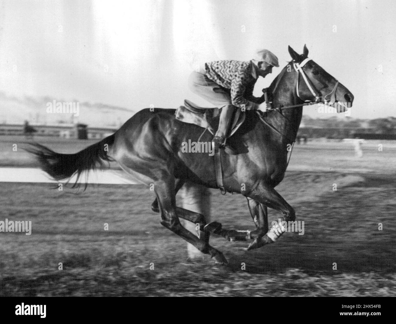 San Domenico, geritten von A. ward, galoppiert auf der Strecke. 01. Januar 1952. Stockfoto