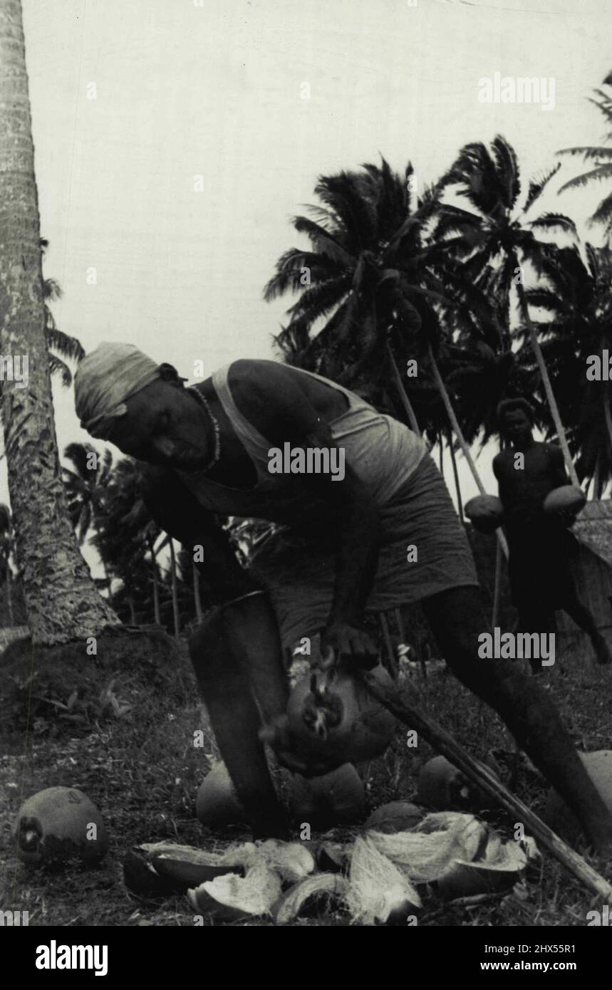 Soloman Islands - Landwirtschaft. 17. September 1934. Stockfoto