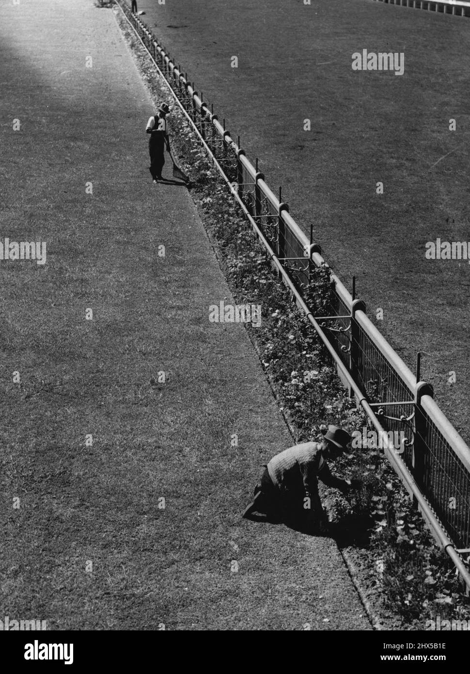 Spring Racing in Melbourne wird seinen Höhepunkt erreichen, wenn morgen das V.A.T.C. Meeting eröffnet wird. Die ganze Woche wurde besonders darauf geachtet, dass der Caulfield-Kurs und die Termine in einwandfreiem Zustand sind. 11. Oktober 1938. Stockfoto