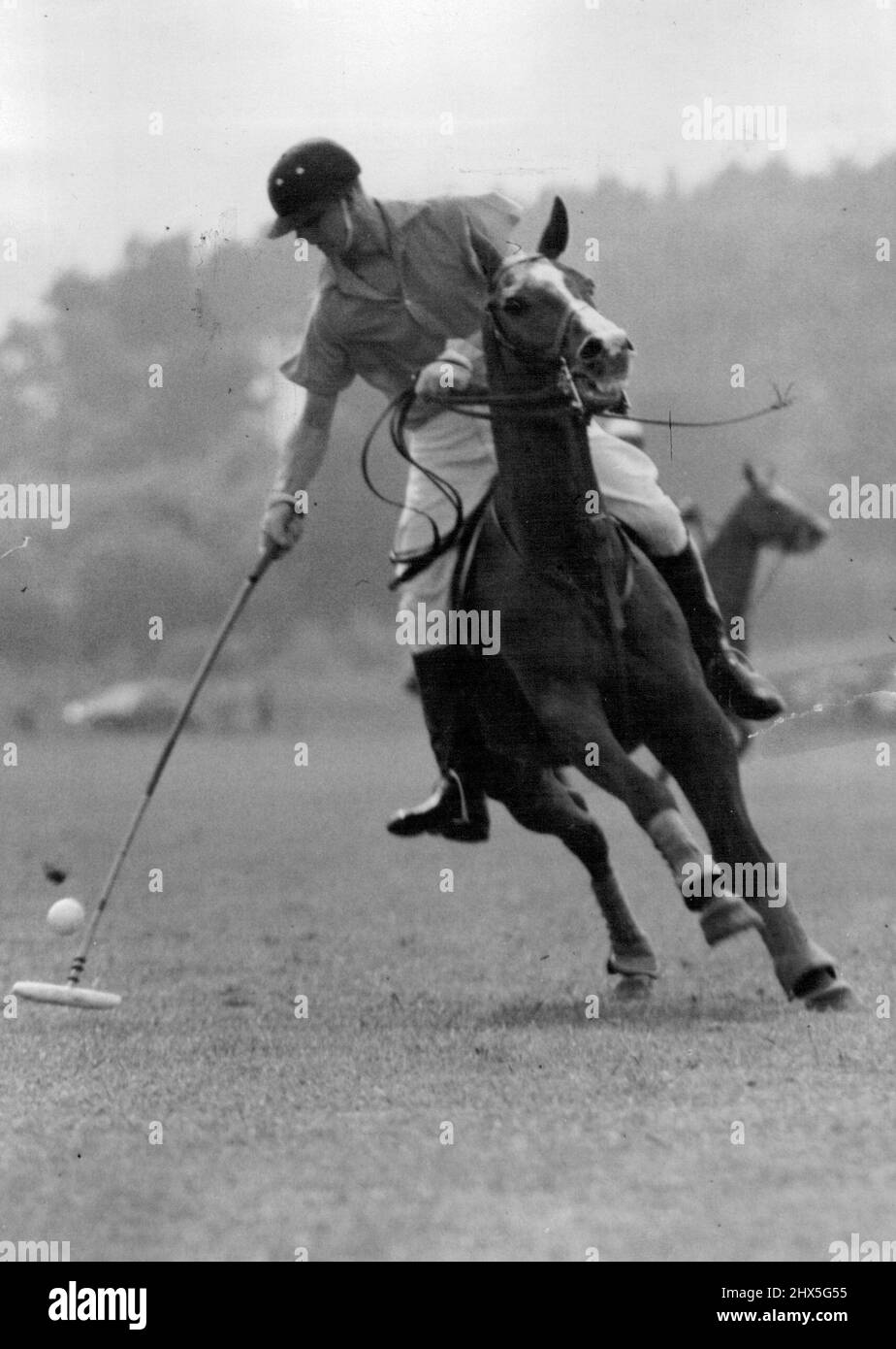 The Duke Scores -- mit Blick auf den Ball schwingt der Duke of Edinburgh sein Pony, als er schießt, um ein Tor für Cowdray Park während des Besuchercup-Polospiels gegen Friar Park im Cowdray Park, Sussex, Ground an diesem Nachmittag (Samstag) zu schießen. Die Heimmannschaft gewann die Trophäe. 05. Juni 1954. (Foto von Reuterphoto). Stockfoto