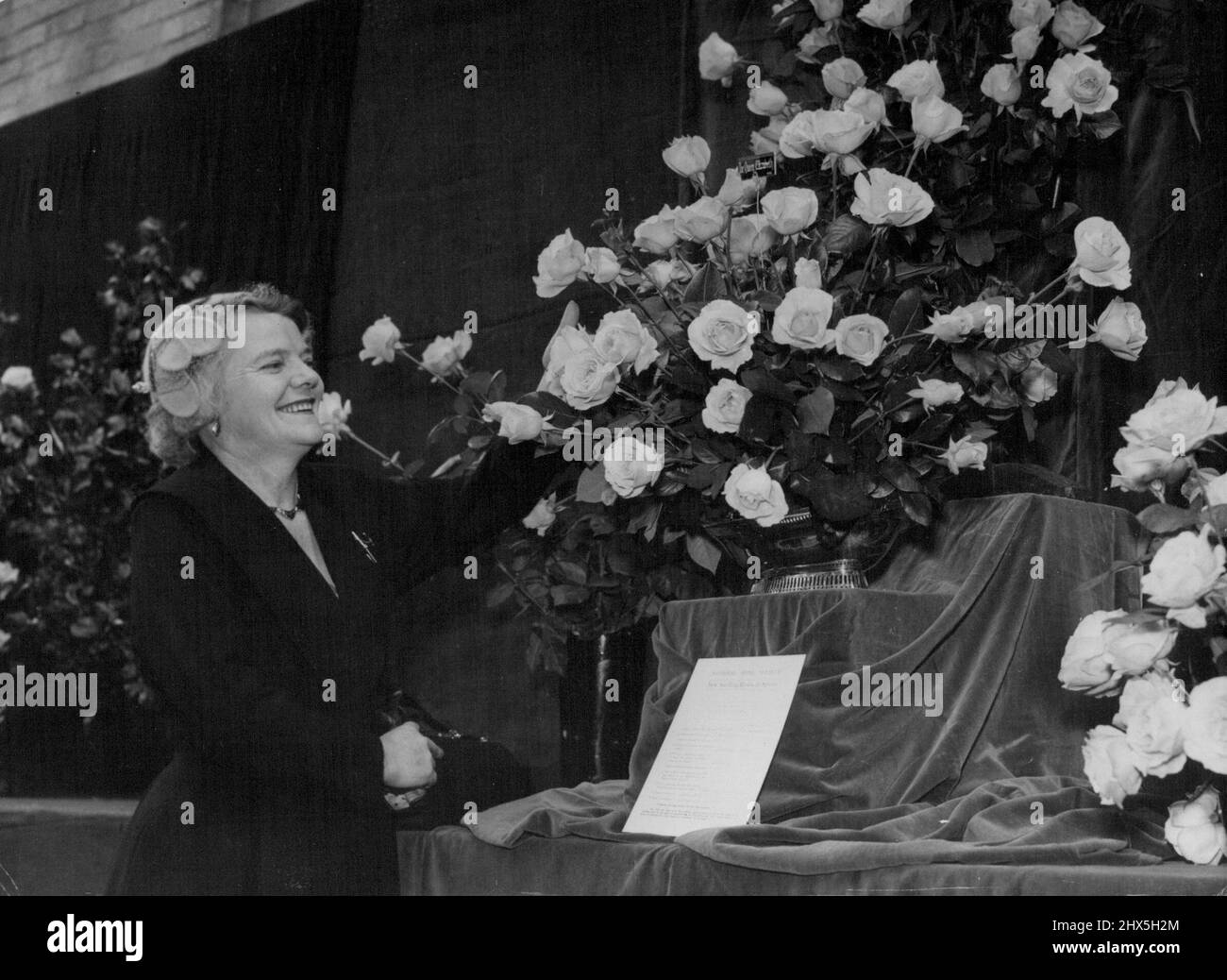 Australian Rose Gower Bei Der London Rose Show. Frau Vera Smith aus Melbourne, Australien, besucht heute die Ausstellung der National Rose Society in der Royal Horticultural Hall, Westminster, und bewundert die Rosen der Königin Elizabeth, die von dem berühmten englischen Rosenbauer Harry Wheatcroft... Frau Smith ist im Geschäft mit dem Wachstum von Rose in Melbourne tätig. 1. Juli 1955. (Foto von Paul Popper Ltd.). Stockfoto