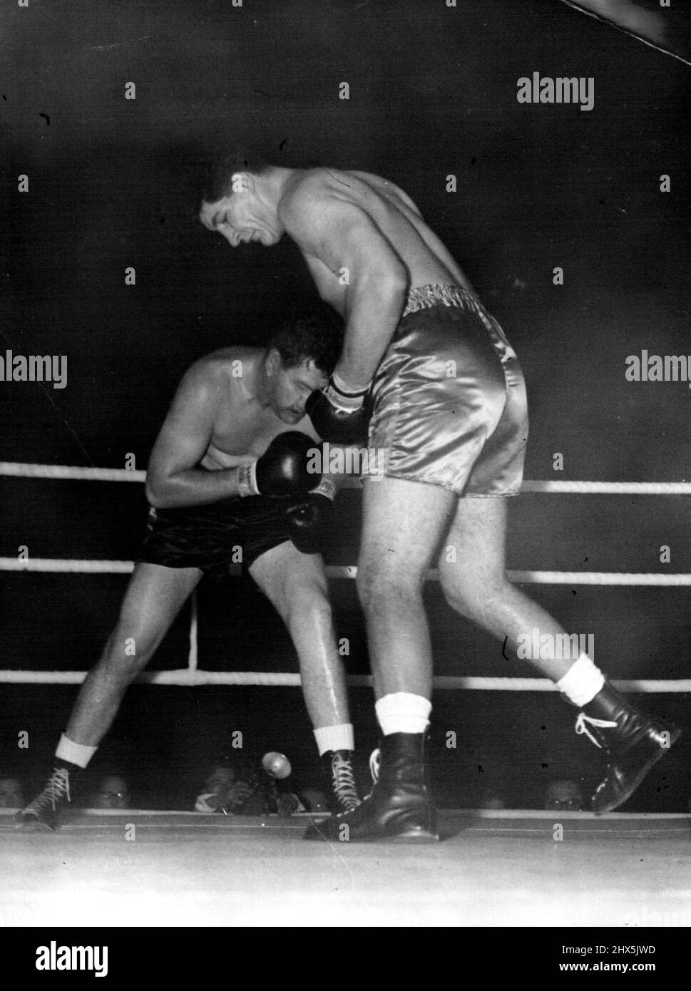 'Pottie' Dwars mit dem Kanadier Ewart (Pottie) Potgieter, 7ft 2in Südafrikaner, blickt auf 6ft. 5in. Der Kanadier James J. Parker ist heute Abend (Dienstag) in der Harringay Arena, London, in einem Zusammenprall aus nächster Nähe während des 10-Runden-Schwergewichts-Wettbewerbs. 15. November 1955. (Foto von Reuterphoto). Stockfoto