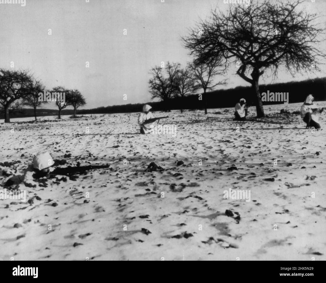 Yanks tragen Tarnmuster in Luxemburg Schnee: Amerikanische Soldaten der Fünften Infanterie-Division, die in Haller, Luxemburg, kämpfen, sind mit weißen Schneedecken getarnt, um Tarnkleidung zu bieten. Von links nach rechts: Sgt. Richard C. Trigueiro, Lomita Park, Kalifornien; Pvt. Paul C. Rios, Kansas City, Mo.; Sgt. Curtis L.B. COMs, Prospect Hill, N.C.; und Sgt. Harry S. Horvitz, Detroit, mich. 20. Januar 1945. (Foto von Associated Press Photo). Stockfoto