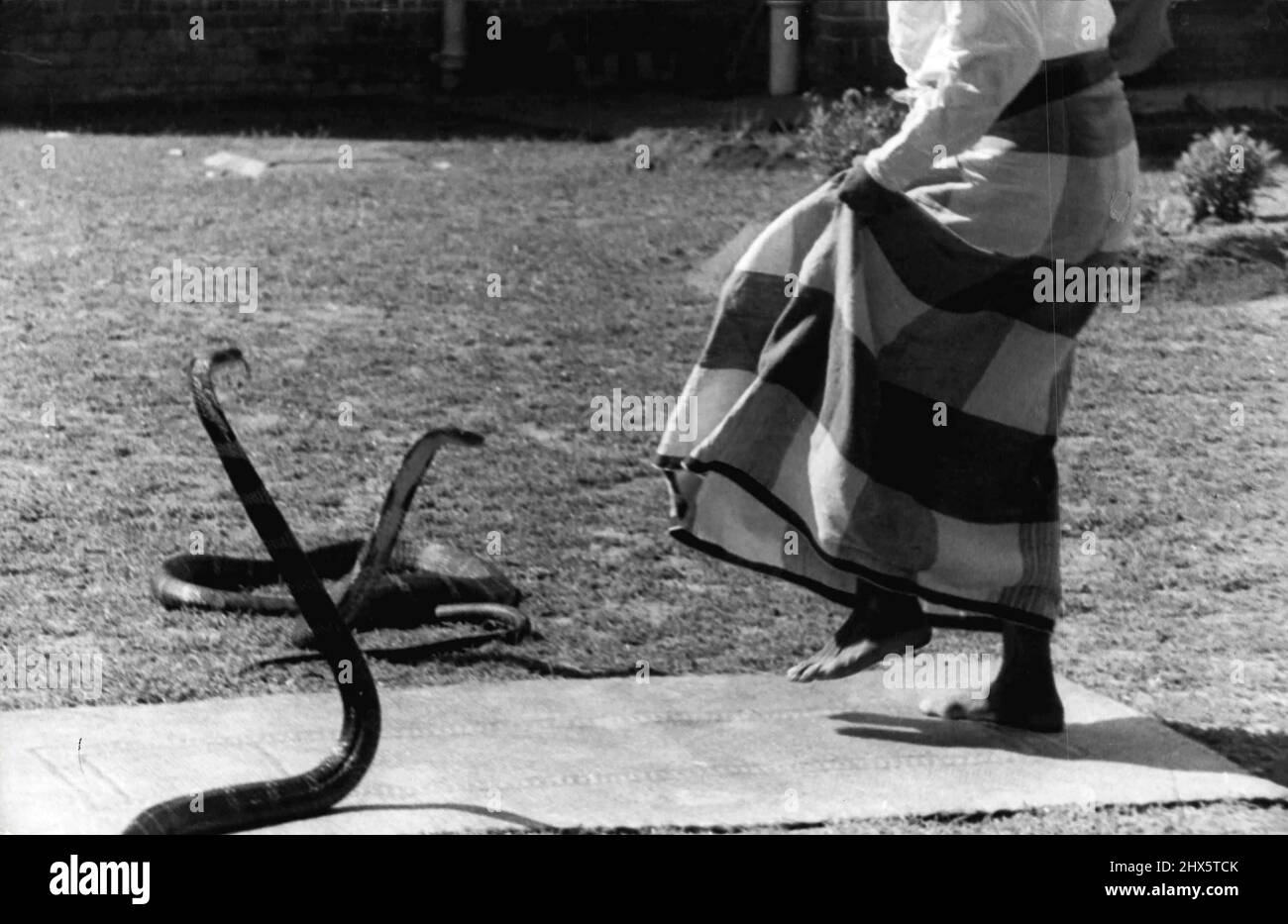 Der Schlangenbeschwörer macht Pässe mit zwei King Cobras, die vorsichtig vor ihnen tanzen wie ein Torreader, der dem Stier gegenübersteht. 18.Mai 1949. (Foto von Henri Cartier-Bresson, Magnum Photos Inc.). Stockfoto