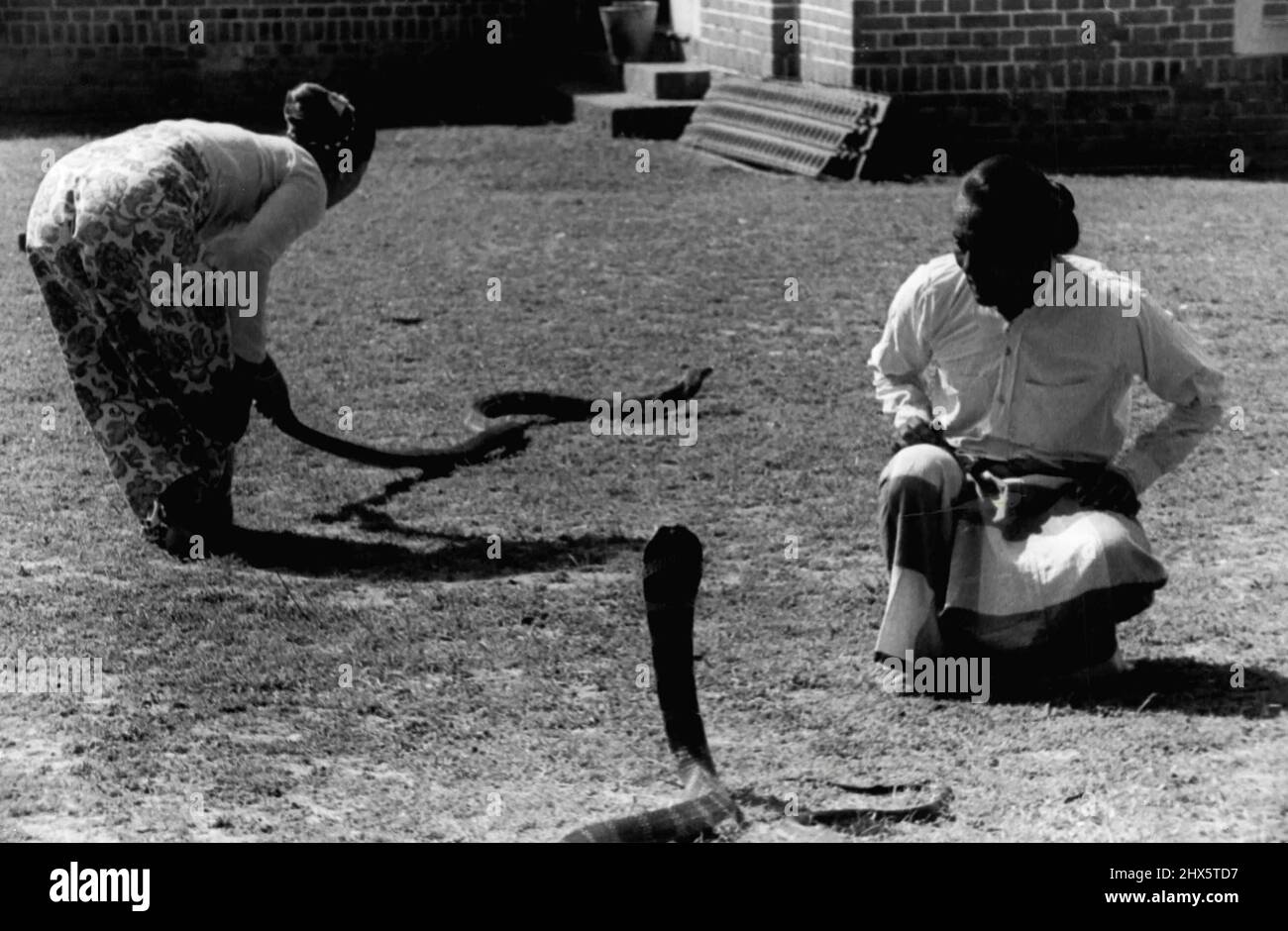 Der Charmer (Saya Tin) und seine Frau machen Pässe mit zwei King Cobras. Die Schlangen mögen keine starke Sonne und man musste vom Schwanz gefangen werden, da es für den Schatten sorgte. 18.Mai 1949. (Foto von Henri Cartier-Bresson, Magnum Photos Inc.). Stockfoto