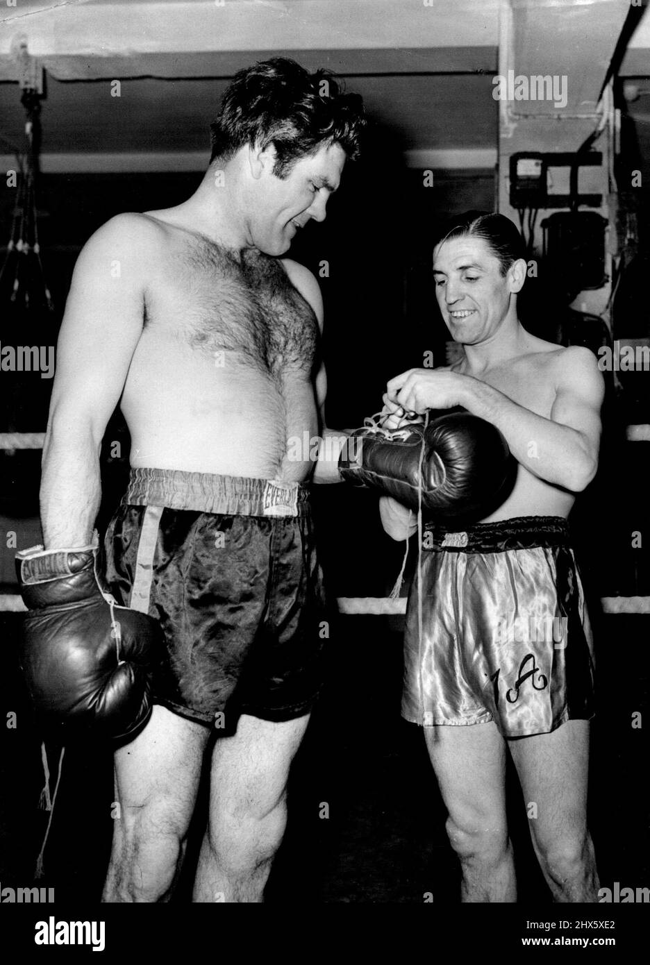 Vorbereitung auf Dartmoor der ehemalige Meister des Fliegengewichts, Terry Allen, der Diminutive, bindet sich vor einem Training am Cambridge Gymnasium in der Earlham Street, London, riesige „Kopfkissen“-Handschuhe für den Ex-Weltmeister Freddie Mills an.der massive Freddie, jetzt Boxpromoter, tritt am Sonntag wieder in den Ring. Wann wird er einen Ausstellungskampf für Dartmoor-Häftlinge führen. 15. August 1952. (Foto von Reuterphoto). Stockfoto