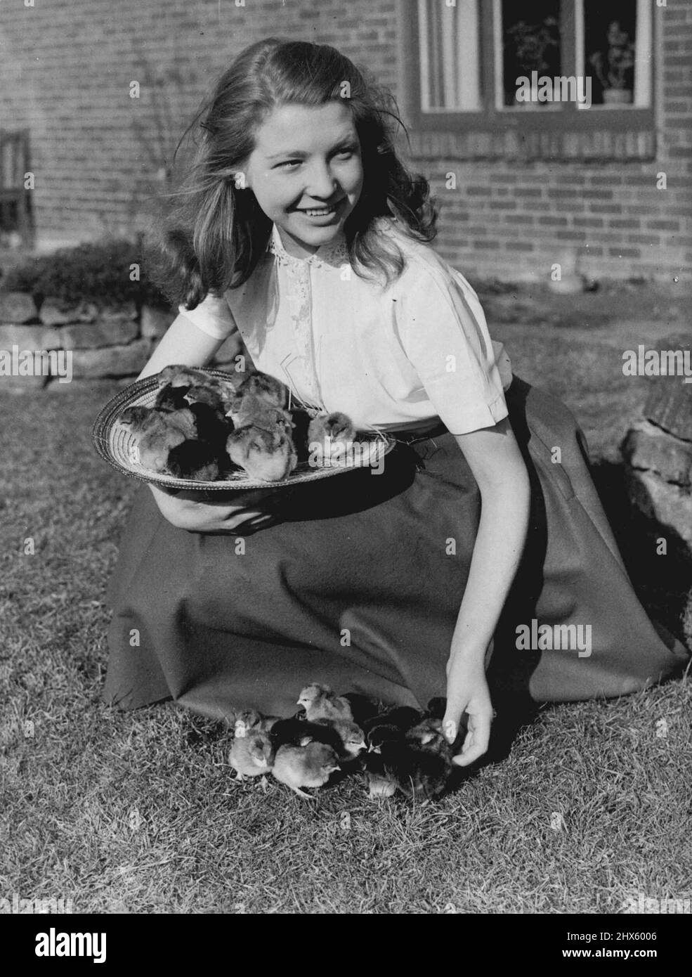 ***** Die 17-jährige Margaret Anderson aus Newcastle-on-Tyes nimmt einen Tag frei von ihrem Job als Lehrerin, die zukünftige Models trainiert, um zu Fuß zu gehen und zu posieren, um die alten Küken im ***** zu bewundern Northumberland, wo sich jetzt so speziell herzuschlüpfen, dass jeden Tag Hunderte von süßen, neuen Gesichtern auf diese grausame Welt gucken. Margaret, die kürzlich in Pantomime am Theater Royal in Newcastle auftrat, hat ein Angebot abgelehnt, in Revue zu gehen, um ihr Ballettstudium fortzusetzen und ihre Prüfungen zu machen Stockfoto