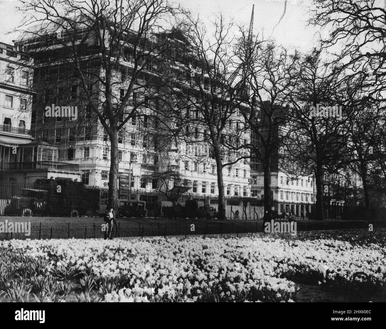 Ultramoderne Wohnungen ersetzen Gesellschaftshäuser in der Park Lane -- mit Narzissen im Vordergrund der neue Wohnblock scheint das einmalige exklusive Viertel nicht zu entstellen. Die Park Lane, die bis vor wenigen Jahren als das exklusivste Wohnviertel in London galt, gibt nun Bauherren Platz, die riesige Wohnblocks errichten und das Haus von Lord Louis Mountbatten, das für viele gesellschaftliche Zusammenkünfte berühmt ist, Wurde abgerissen und an seiner Stelle wächst ein riesiger Wohnblock. 28.Mai 1934. (Ph Stockfoto