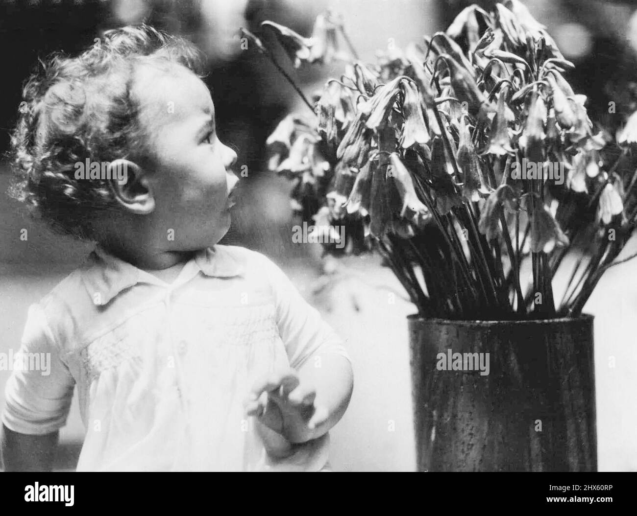 Dieser kleine Kerl sah ***** aus Wenn er Gesetz ***** Weihnachtsglocken auf einem ***** Statistiken heute. Unten tief jucken oben Blumen. 29. Dezember 1933. Stockfoto