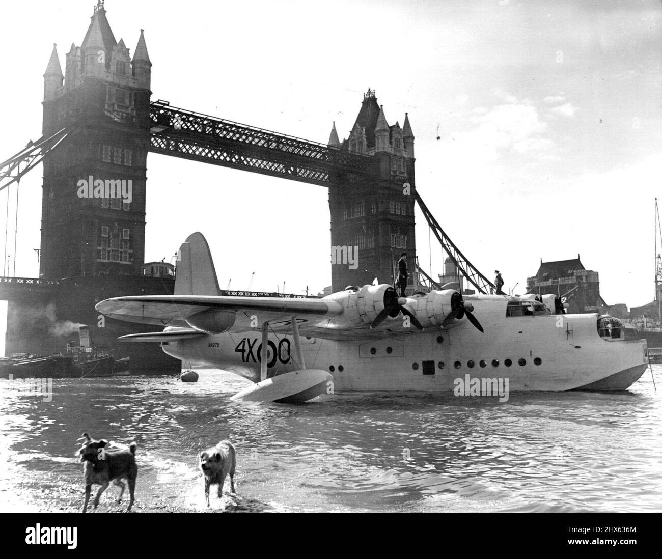 Ein Riese auf der Themse 'Battle of Britain' Ankunft Londoners und Besucher der Metropole waren erstaunt, dieses riesige Coastal Command Flying Boat, das heute an der berühmten Tower Bridge vor Anker liegt, zu sehen. Er hatte den Fluss von Woolwich aus bestiegen und wird bis Sonntag für die Battle of Britain-Feierlichkeiten am Tower vertäut bleiben. 12. September 1950. (Foto von Paul Popper Ltd.). Stockfoto