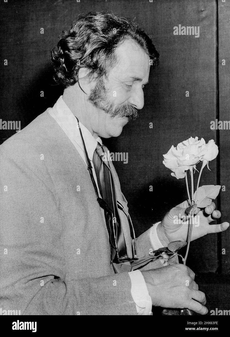 Wheatcroft's Royal Rose – Mr. Wheatcroft hält die Queen Elizabeth Rose bei der heutigen Show. Höhepunkt der heute in der Royal Horticultural Society Hall eröffneten Schau der National Rose Society war die Queen Elizabeth Rose, eine königliche Blüte, die von Herrn Harry Wheatcroft, einem der beiden berühmten Brüder, der das berühmteste und blühendste Rosengeschäft der Welt betreibt, gefunden wurde. Die Königin Elizabeth Rose, benannt nach Englands jungem und liebenswürigem Monarchen, wurde von Mr. Wheatcroft in der UN entdeckt Stockfoto