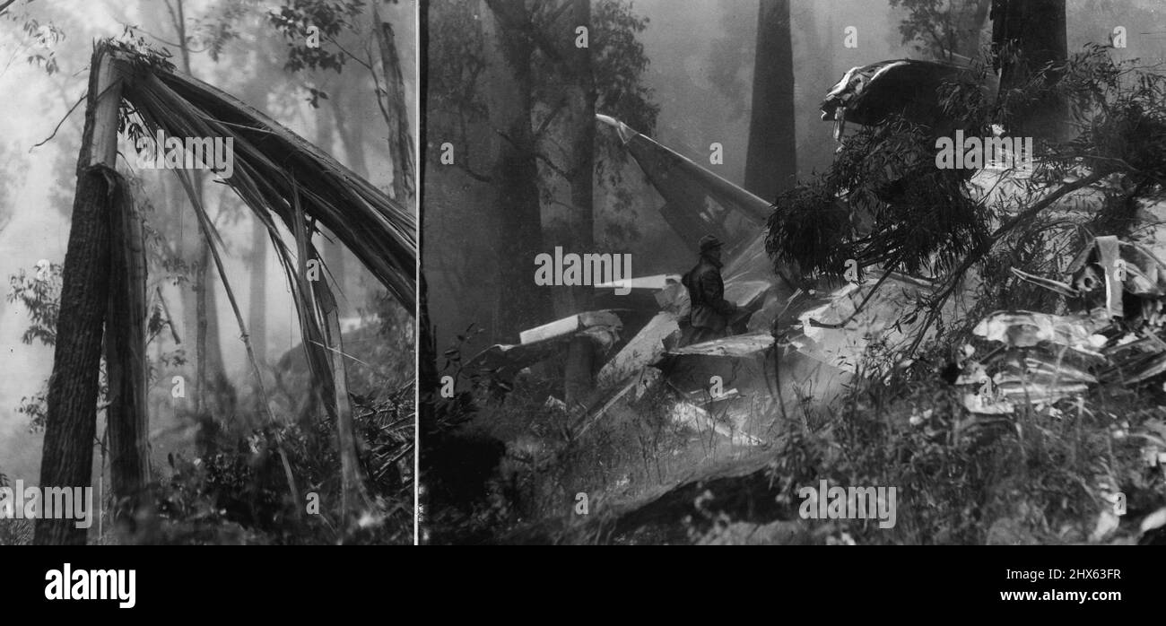Dieser Sprössling befand sich im Weg des zerstörten Luftfahrtziffers. Er mähte die Baumkronen 50 Meter herunter, bevor er den Boden traf. Der Luftliner, der von seinen Flügeln beraubt war, raste unter dem hohen Holz aus. Dieses Bild zeigt einen nebligen Zustand über den gesamten Bereich. 26. Oktober 1938. Stockfoto