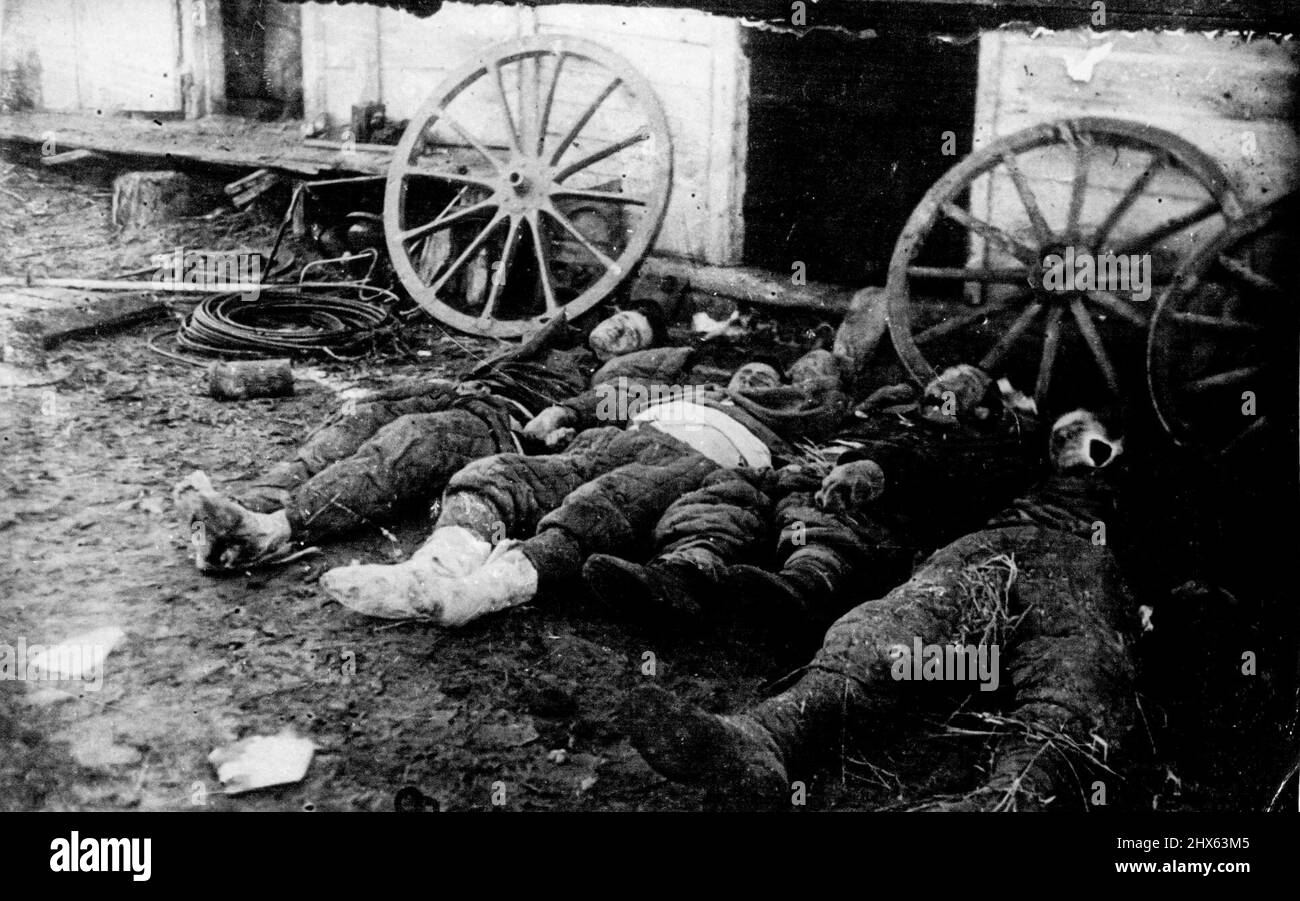 Eine Gruppe von Männern der Roten Armee war Gefangene, die von Deutschen im Dorf Sredne-Tsaritsynskoe, Region Stalingrad, zu Tode gefoltert wurden. 10. Januar 1943. Stockfoto