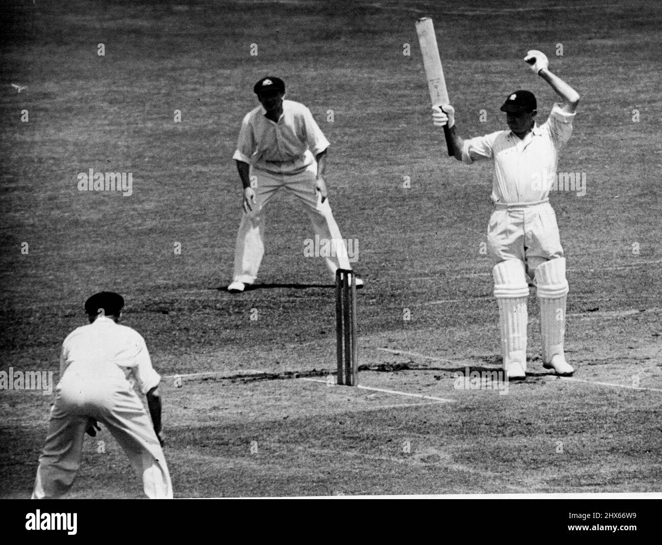 Englands Kapitän Hammond aus dem Jahr 1946 hält seinen Schläger auf einem klebrigen Wicket in Brisbane von einem kickenden Ball hoch. Bradman sieht aus dem kurzen Bein. 28. Oktober 1954. Stockfoto