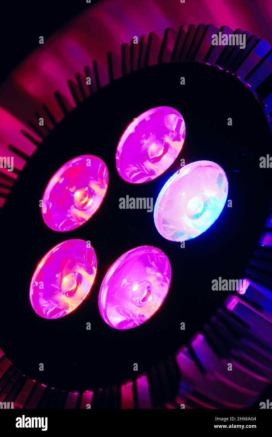 Vertikale Nahaufnahme der rosa LED-Lampe für den Pflanzenbau. Abstrakte Technologien Hintergründe Stockfoto