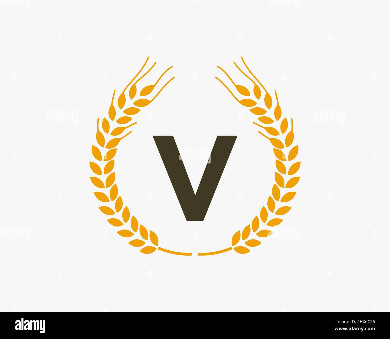 AgrarWeizen-Logo auf V-Buchstabe. Buchstabe V Landwirtschaft Logo Design-Vorlage, Lebensmittel, gesunde Ernährung Symbol Stock Vektor