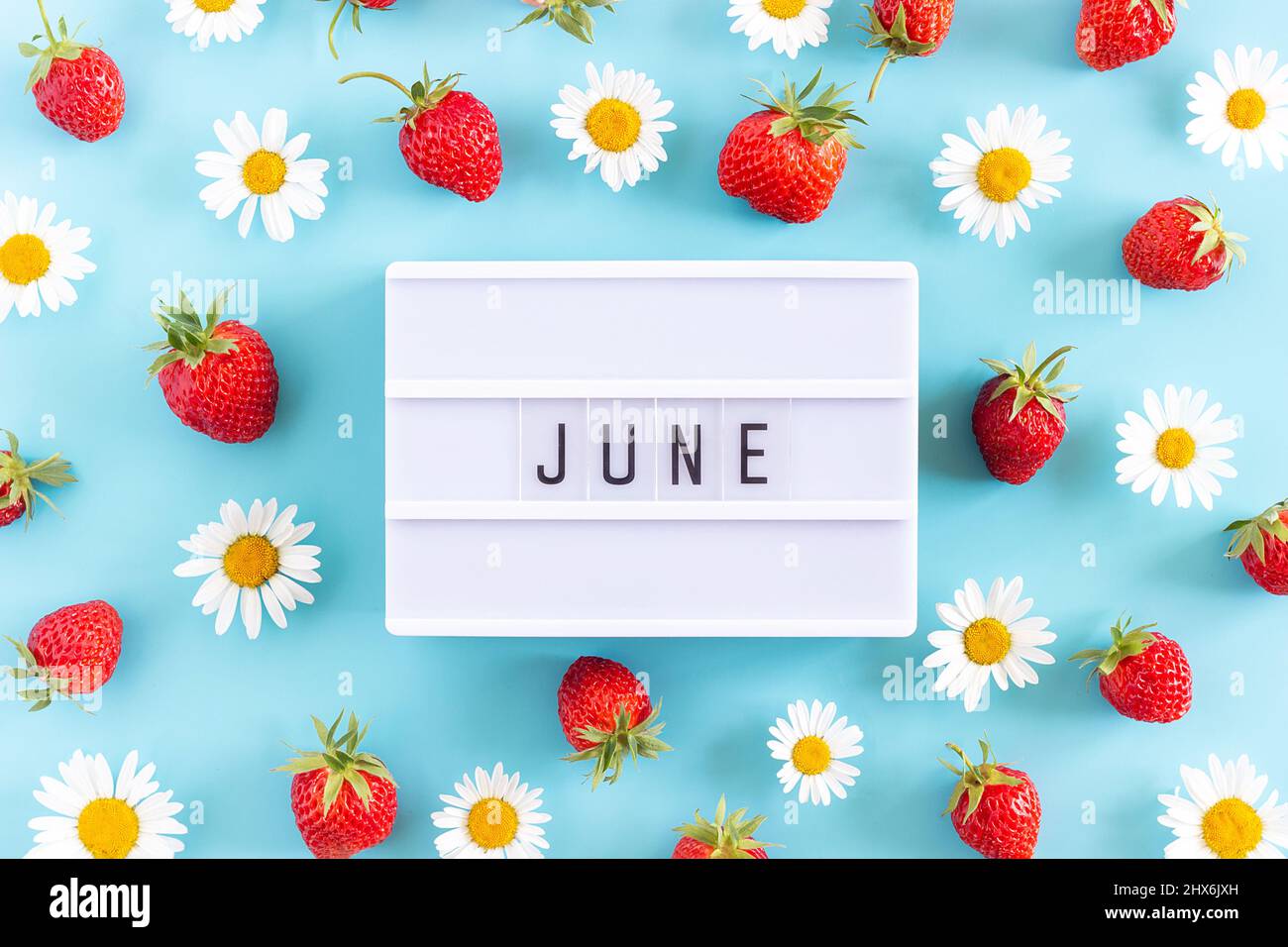 Sommermonat Juni Text auf Leuchtkasten und Erdbeere, Kamillenblüten auf blauem Hintergrund. Draufsicht Flat Lay. Kreatives Konzept Hallo Juni. Draufsicht, FL Stockfoto