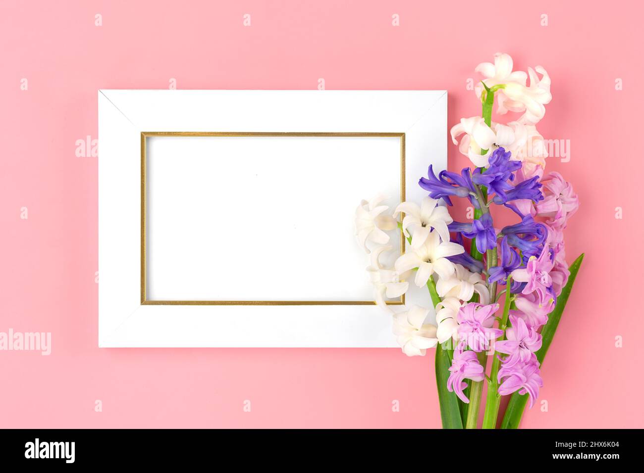Blumenstrauß von Frühlingsblumen aus lila Hyazinthen auf rosa Hintergrund Draufsicht Flat Lay Holiday Card Hallo Frühlingskonzept. Stockfoto
