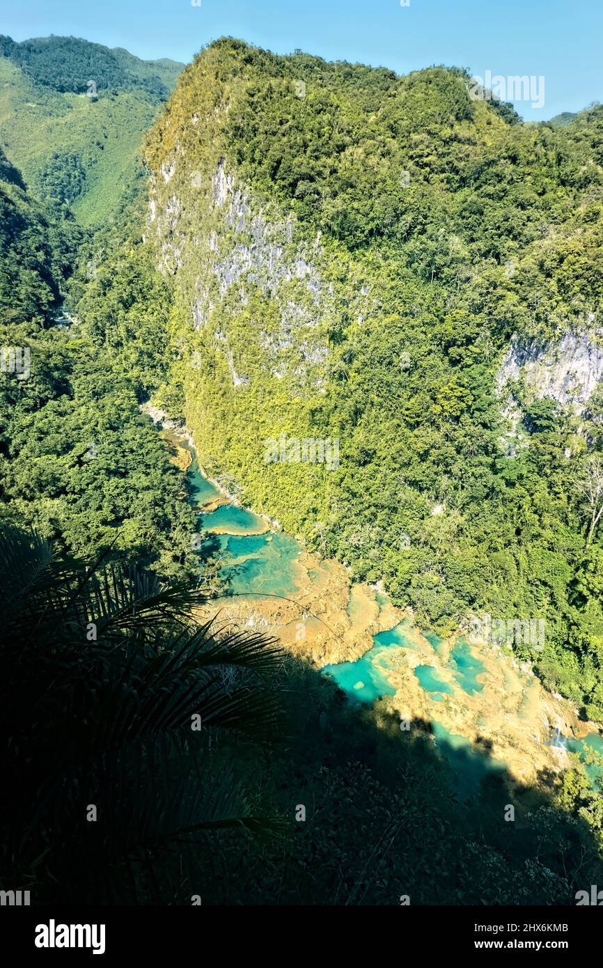 Die fantastischen türkisfarbenen Pools von Semuc Champey, Rio Cabohon, Lanquin, Alta Verapaz, Guatemala Stockfoto
