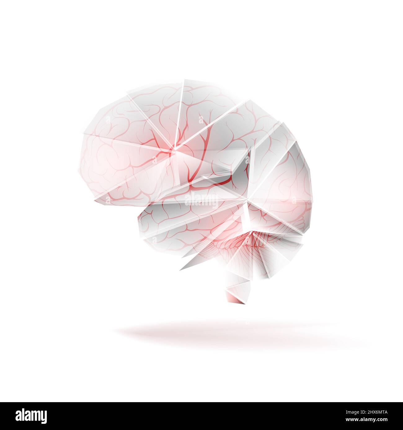 Blutgefäße (Arterien) im abstrakten menschlichen Gehirn als zerebrovaskuläres Konzept. Isoliert auf weißem Hintergrund. Abbildung Stockfoto