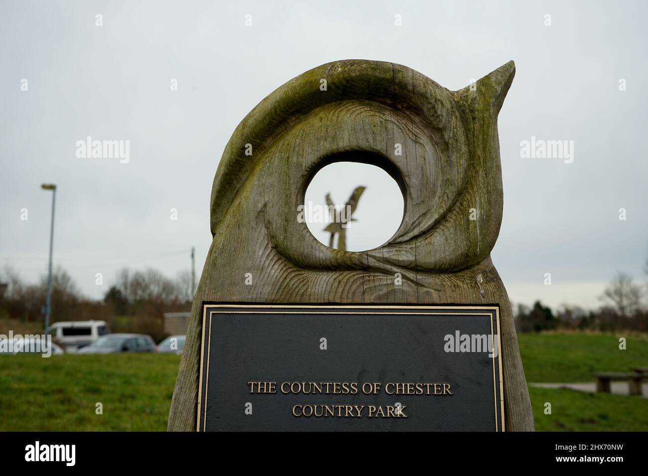 Holzskulptur im Countrypark der Gräfin von Chester Stockfoto