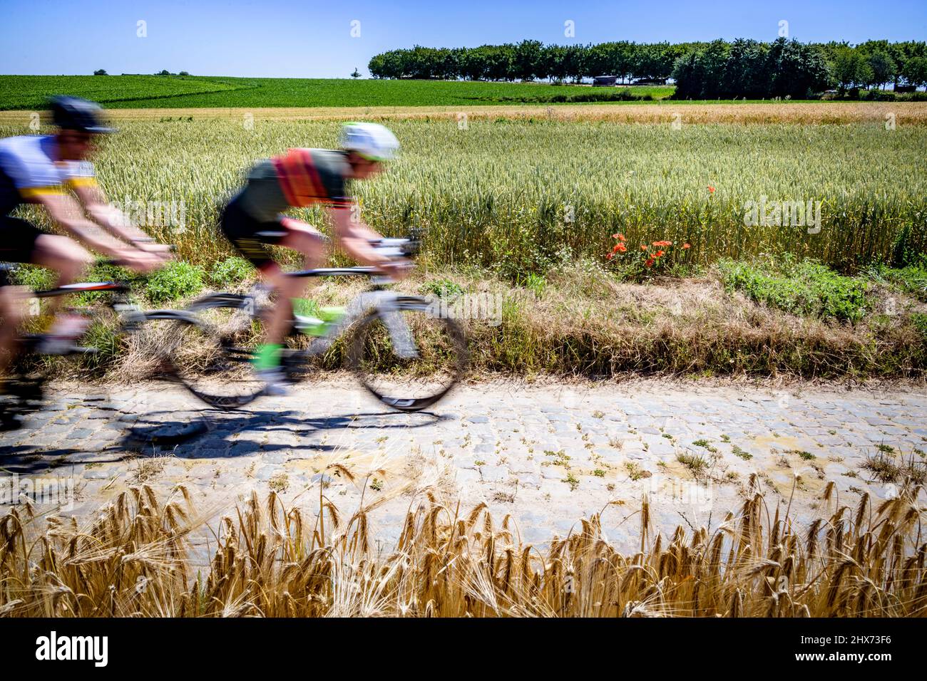 Radfahren auf Flandern-Kopfsteinpflasterstraßen Stockfoto