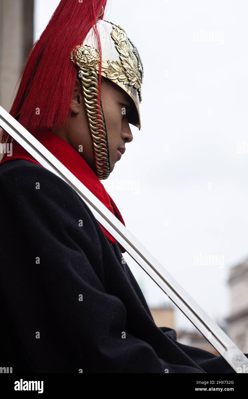 Trooper der Hauskavallerie Stockfoto