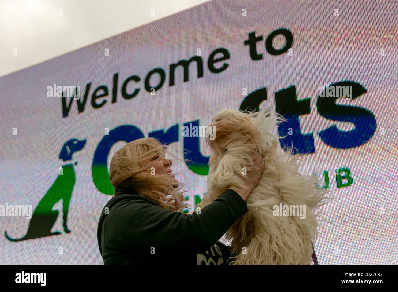 Birmingham, Großbritannien. 10. März 2022. Nach einer zweijährigen Pause aufgrund des Coronavirus ist Crufts wieder im NEC, Birmingham, wo Hunderte von Arbeits- und Pastoralhunden zum ersten Tag auf die Show kommen. Kredit: Peter Lopeman/Alamy Live Nachrichten Stockfoto