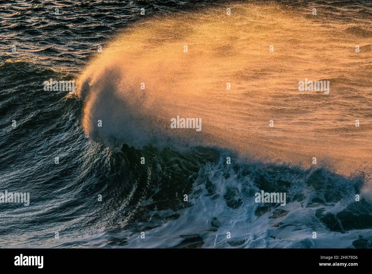 Das Spray wird von starkem Wind vom Kamm einer Welle geblasen und von einem goldenen Sonnenuntergang beleuchtet. Stockfoto