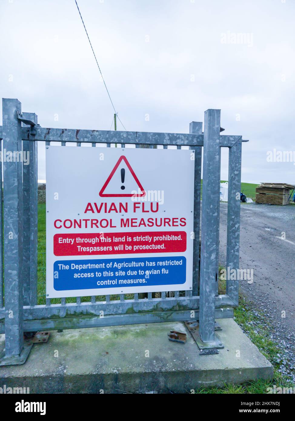 BALLYSHANNON, COUNTY DONEGAL, IRLAND: Warnschild vor der Vogelgrippe. Stockfoto