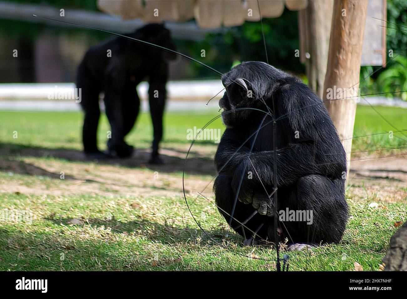 Mitsichbringen Oder Mit Sich Bringen www.alamy.de