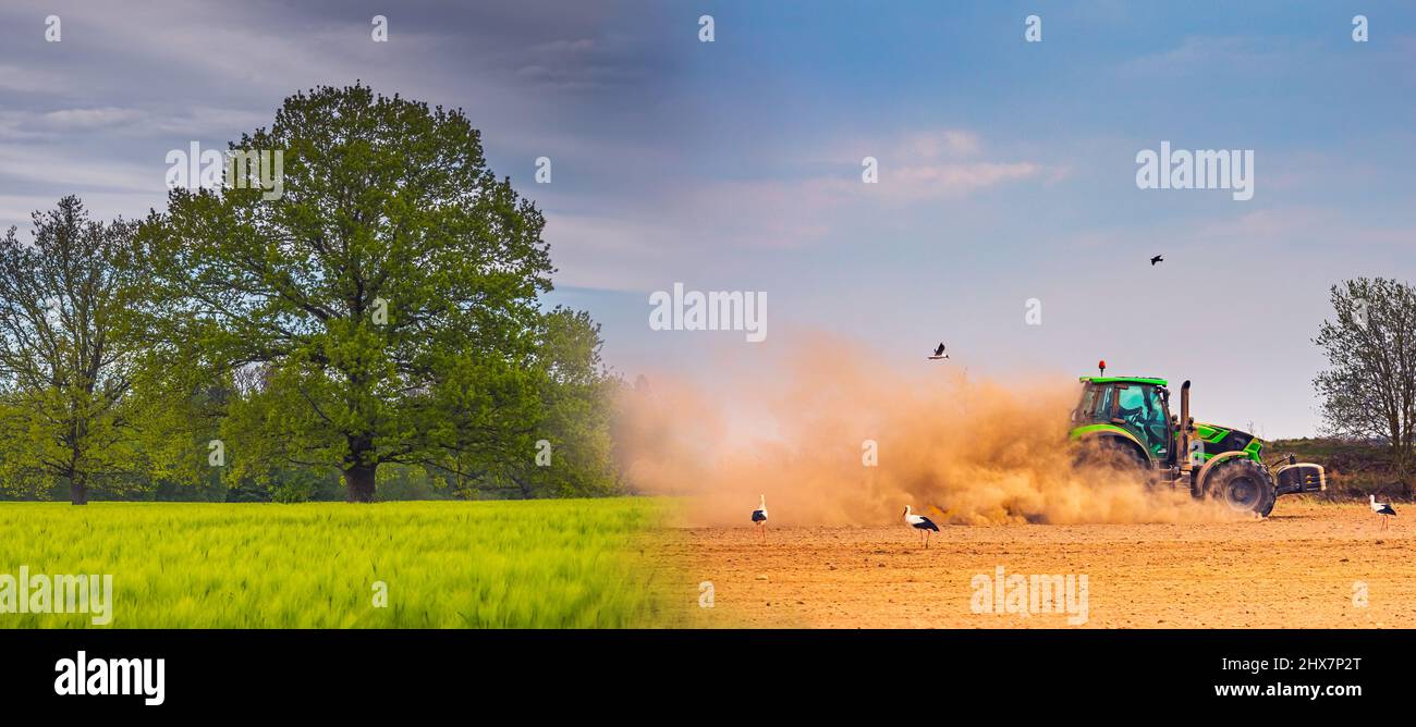 Klimawandel Konzept von Dürre, globaler Erwärmung Stockfoto