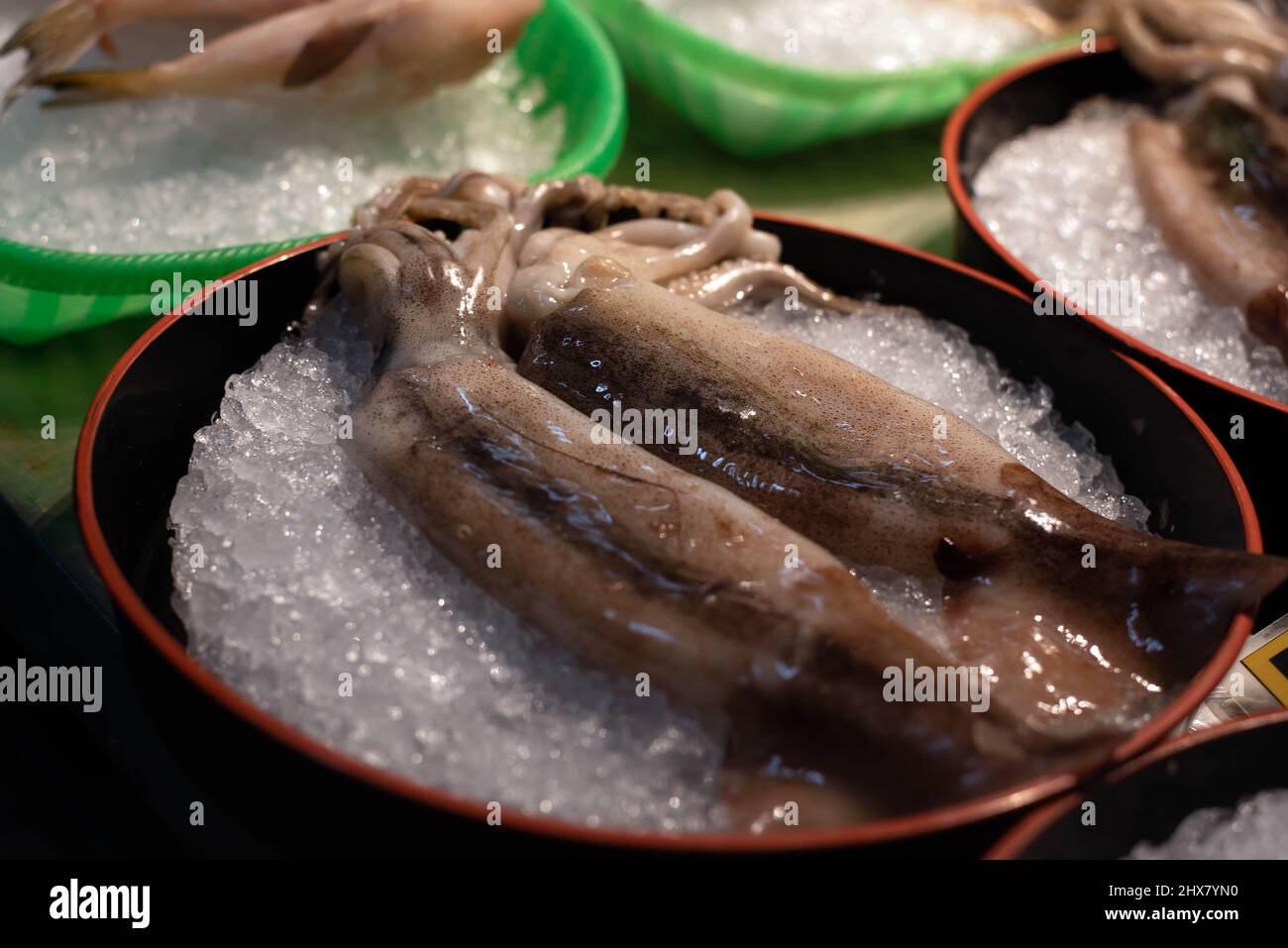 Frischer Tintenfisch, gekühlt auf Eis, der in einem asiatischen Supermarkt zum Verkauf angeboten wird. Stockfoto