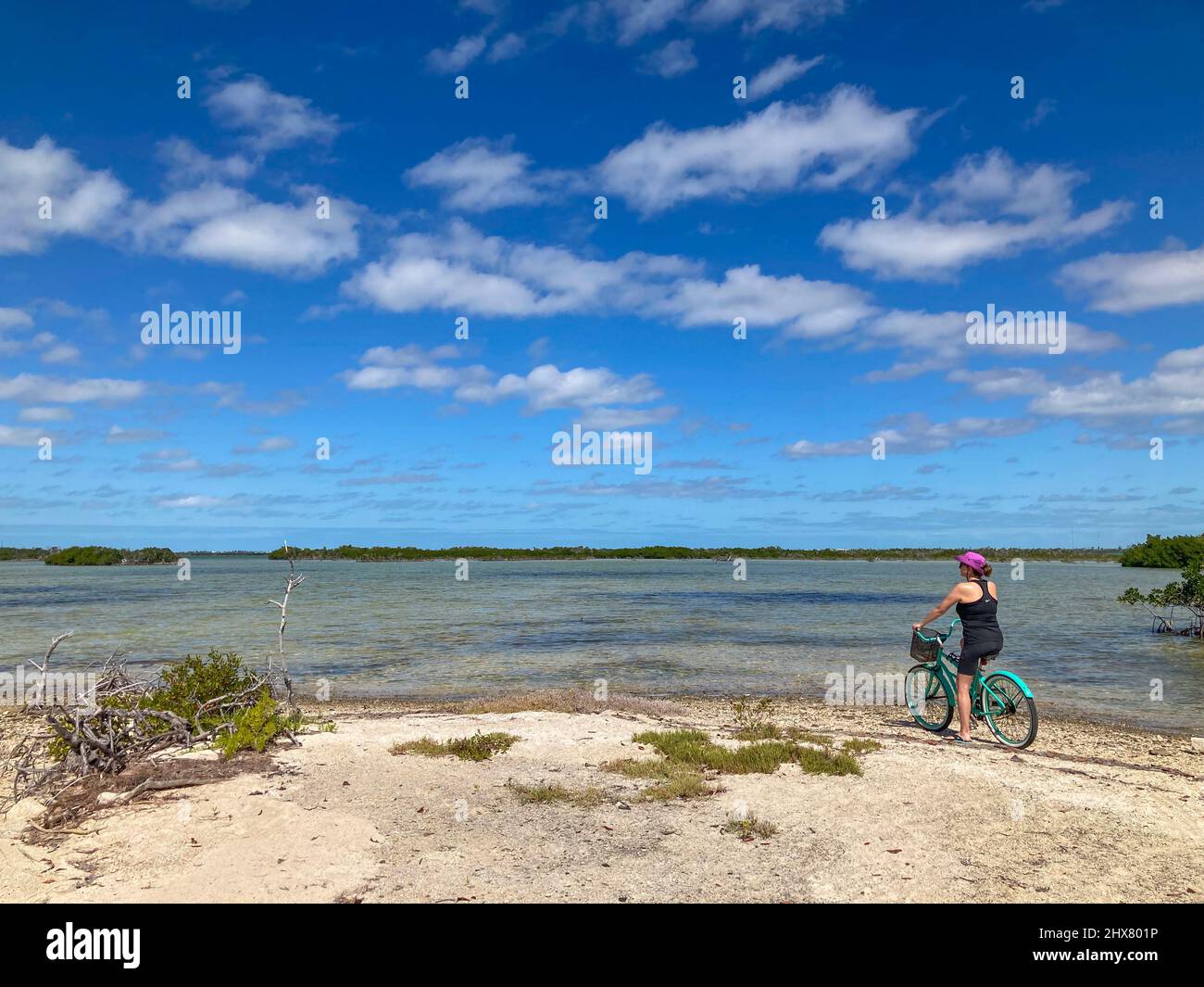 Frau auf dem Fahrrad, die das ruhige Wasser in Mangrove Bay, Big Pine Key, Florida Keys, Florida, USA, betrachtet Stockfoto