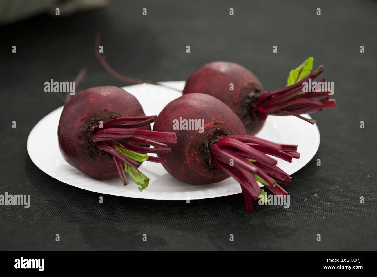 Rote Beete auf einem Dorffelder ausgestellt Stockfoto