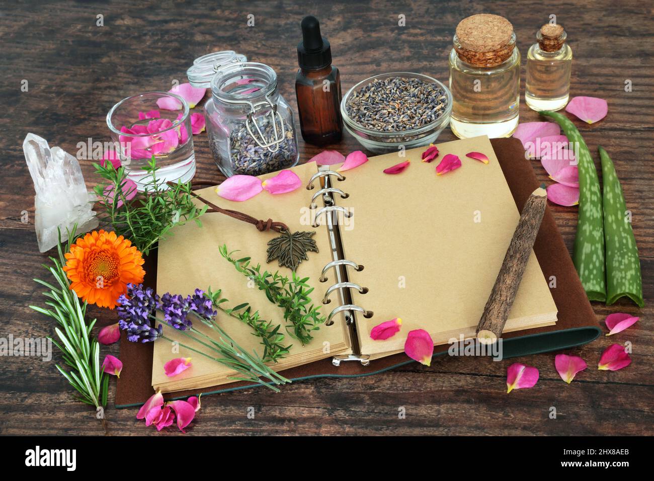 Kräuterpflanzenmedizin Zubereitung von Kräutern und Blumen für natürliche Hautpflegemittel mit offenem alten Ledernotizbuch für Rezepte und Notizen. Stockfoto