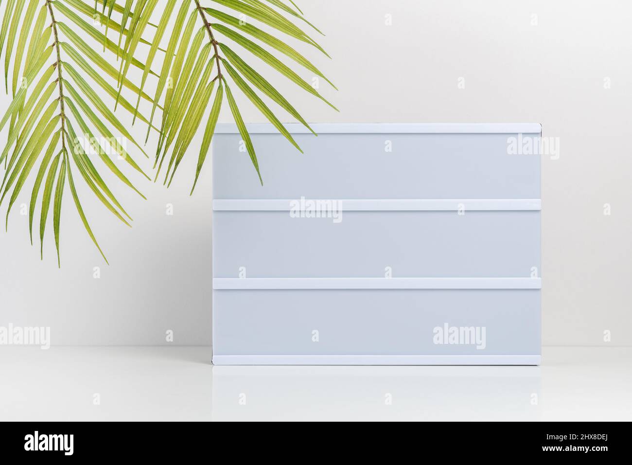 Palmblätter mit leerem Leuchtkasten auf weißem Tisch. Modell-Konzept. Stockfoto